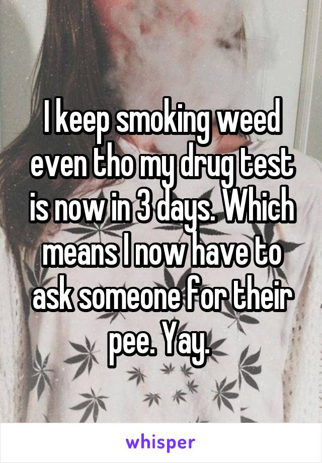 I keep smoking weed even tho my drug test is now in 3 days. Which means I now have to ask someone for their pee. Yay. 