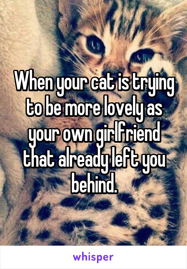 When your cat is trying to be more lovely as your own girlfriend that already left you behind.