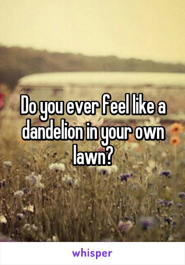 Do you ever feel like a dandelion in your own lawn?