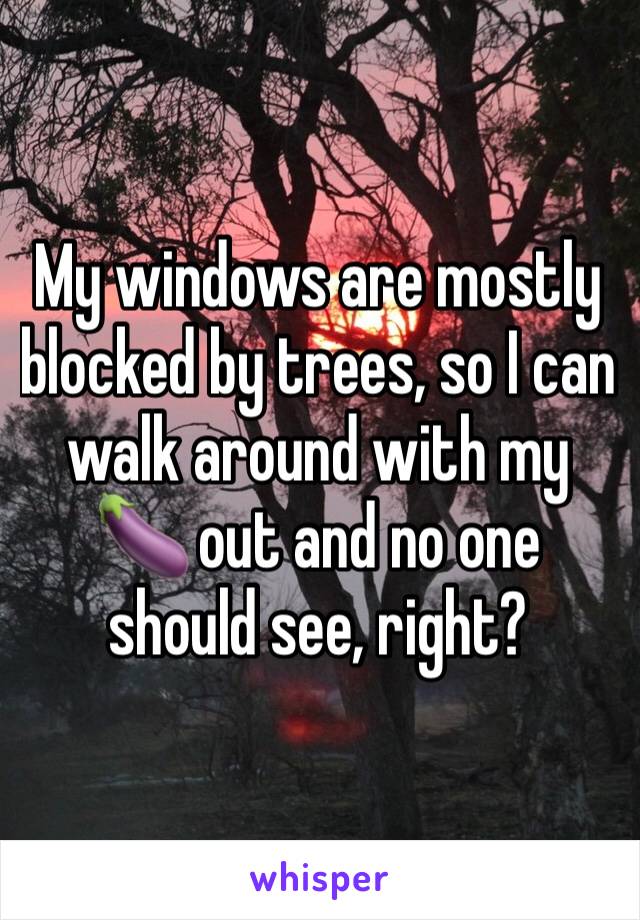 My windows are mostly blocked by trees, so I can walk around with my 🍆 out and no one should see, right?