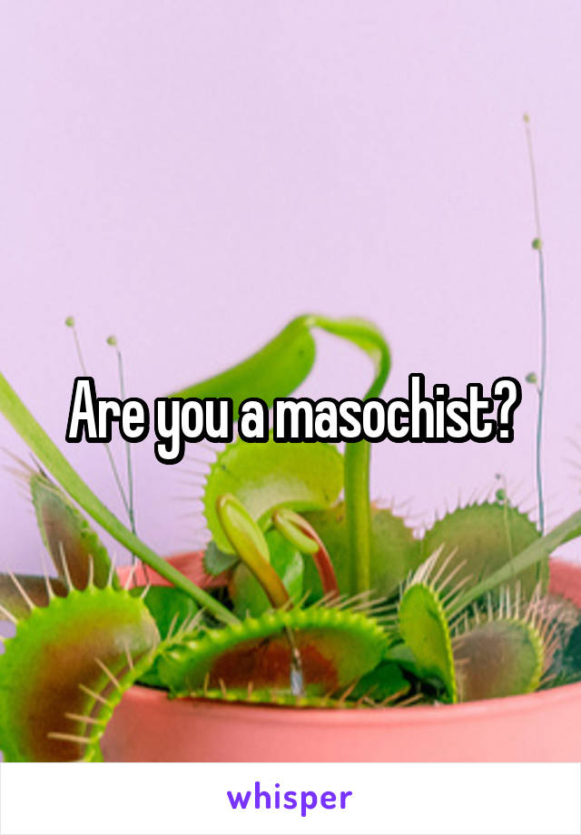 Are you a masochist?