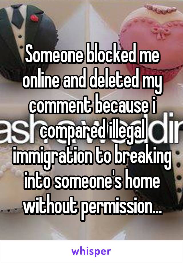 Someone blocked me online and deleted my comment because i compared illegal immigration to breaking into someone's home without permission...