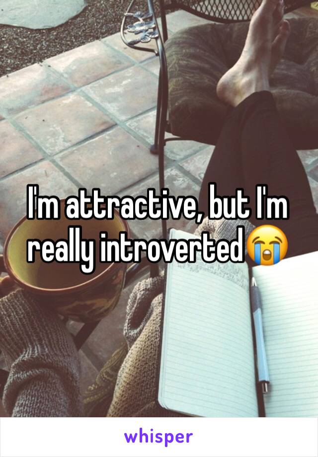 I'm attractive, but I'm really introverted😭