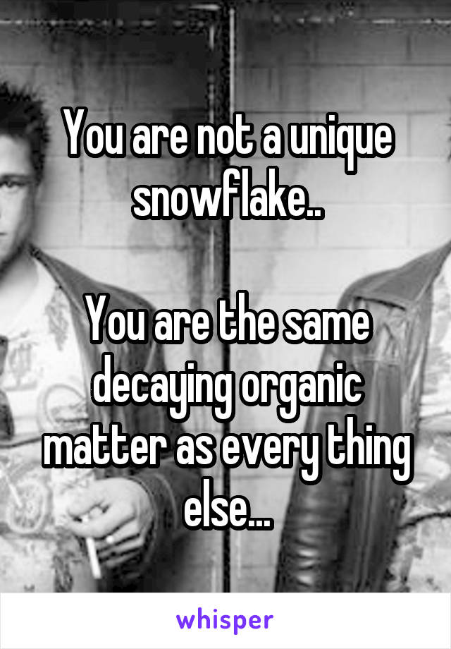 You are not a unique snowflake..

You are the same decaying organic matter as every thing else...