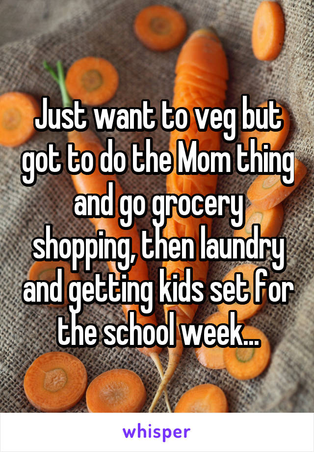 Just want to veg but got to do the Mom thing and go grocery shopping, then laundry and getting kids set for the school week...