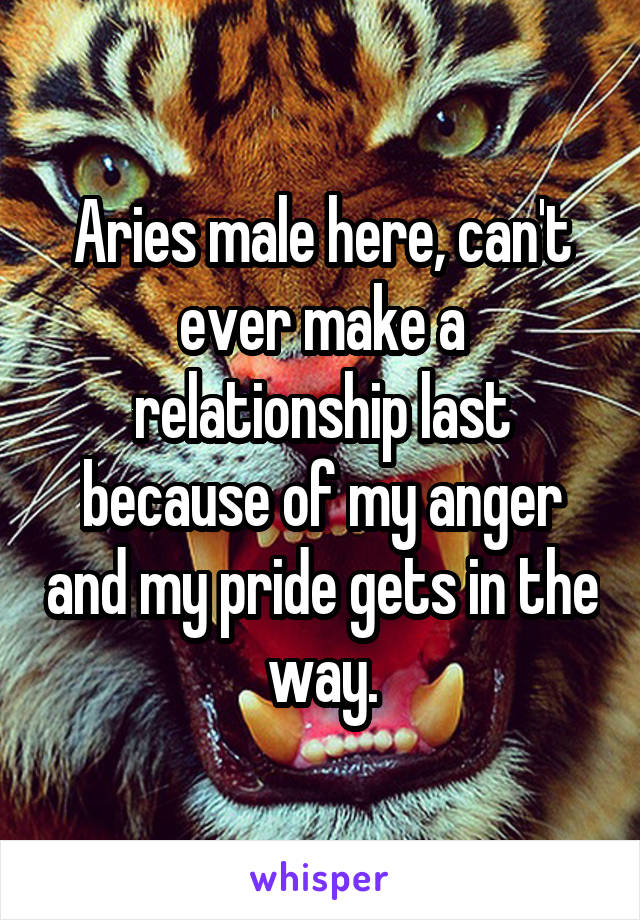 Aries male here, can't ever make a relationship last because of my anger and my pride gets in the way.