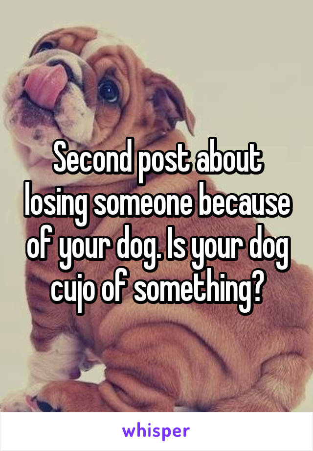 Second post about losing someone because of your dog. Is your dog cujo of something?