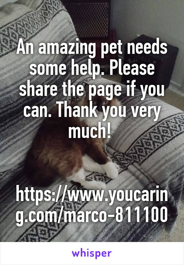 An amazing pet needs some help. Please share the page if you can. Thank you very much! 


https://www.youcaring.com/marco-811100