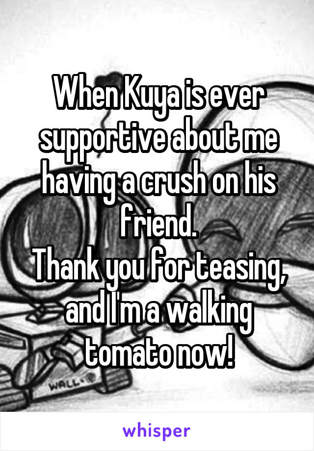 When Kuya is ever supportive about me having a crush on his friend.
Thank you for teasing, and I'm a walking tomato now!