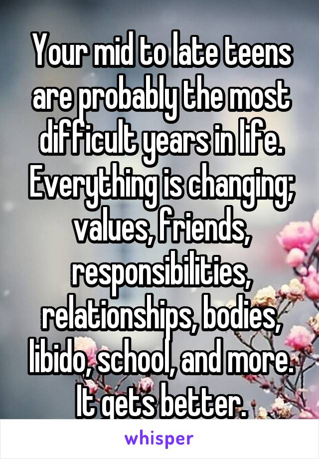 Your mid to late teens are probably the most difficult years in life. Everything is changing; values, friends, responsibilities, relationships, bodies, libido, school, and more.
It gets better.