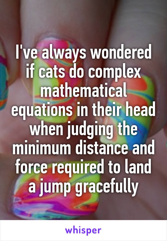 I've always wondered if cats do complex mathematical equations in their head when judging the minimum distance and force required to land a jump gracefully