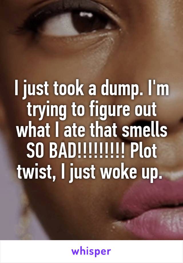 I just took a dump. I'm trying to figure out what I ate that smells SO BAD!!!!!!!!! Plot twist, I just woke up. 