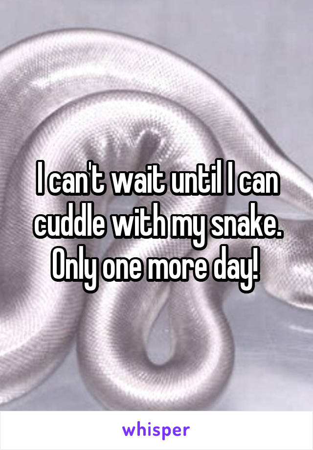 I can't wait until I can cuddle with my snake. Only one more day! 