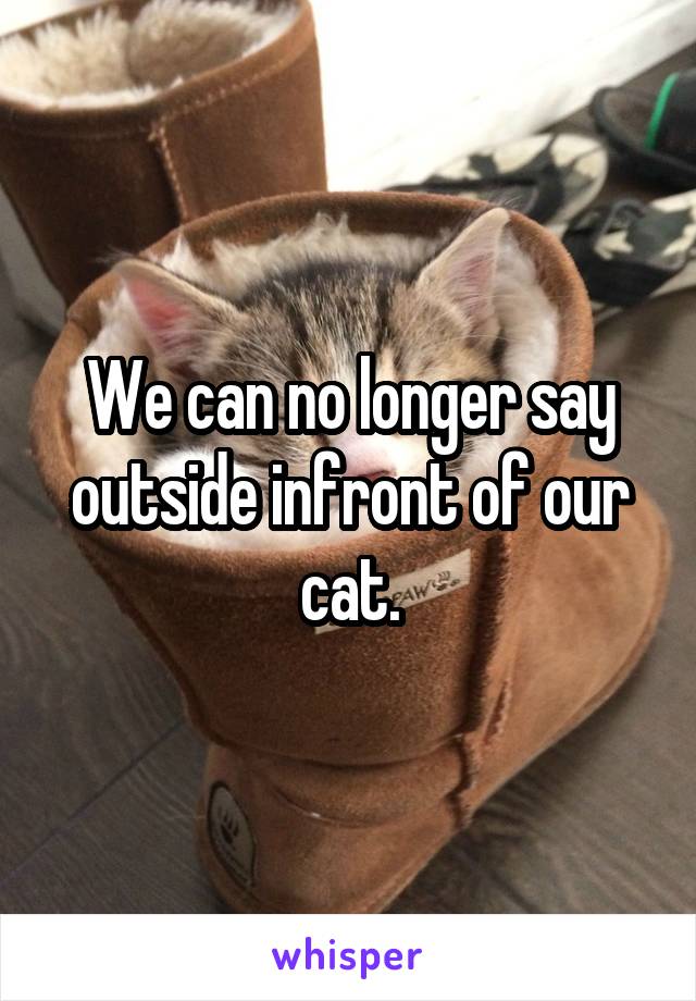 We can no longer say outside infront of our cat.