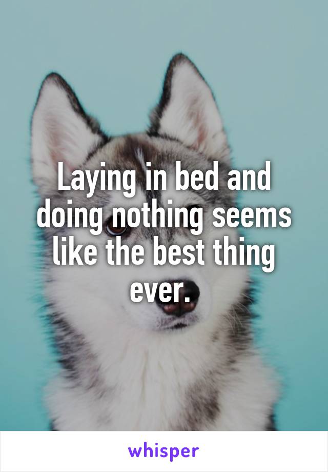 Laying in bed and doing nothing seems like the best thing ever. 