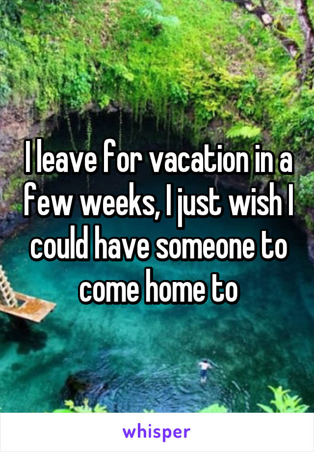 I leave for vacation in a few weeks, I just wish I could have someone to come home to