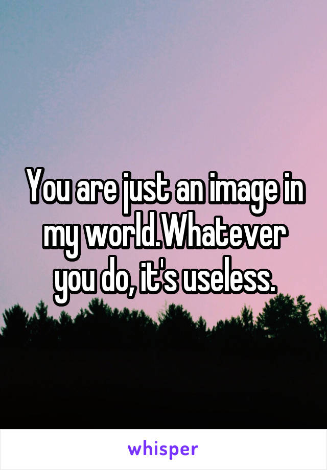 You are just an image in my world.Whatever you do, it's useless.