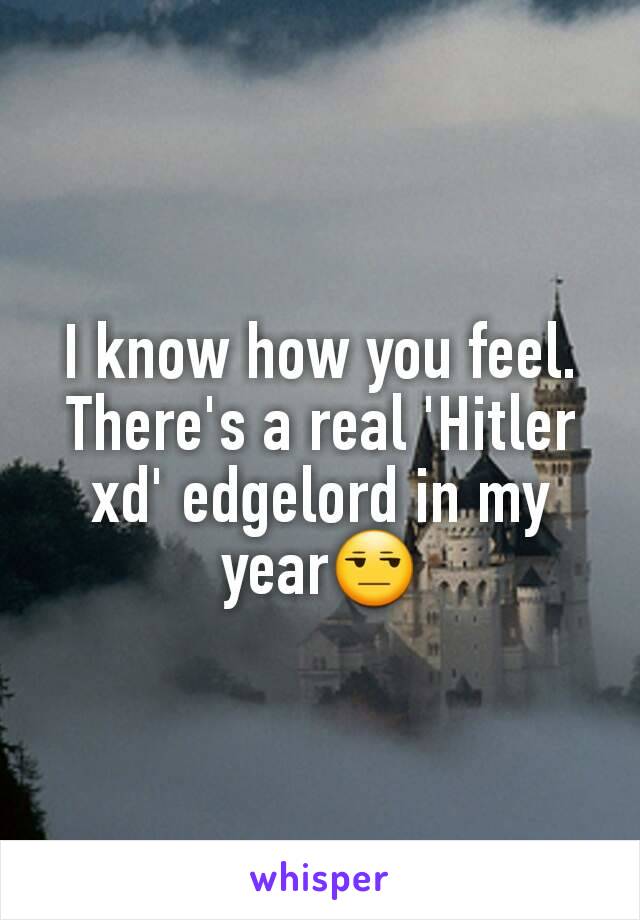 I know how you feel. There's a real 'Hitler xd' edgelord in my year😒