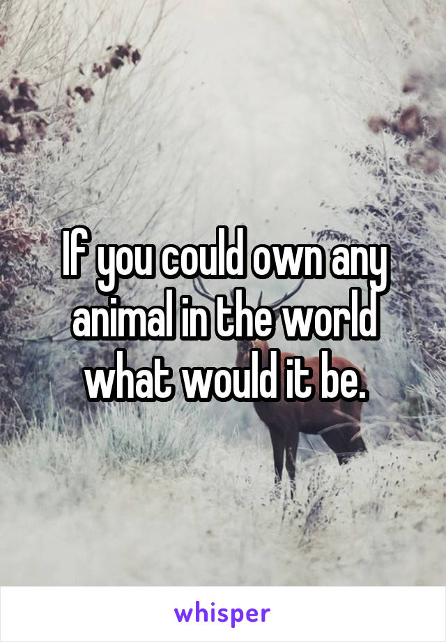 If you could own any animal in the world what would it be.