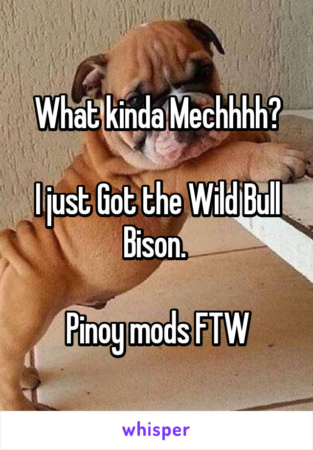 What kinda Mechhhh?

I just Got the Wild Bull Bison. 

Pinoy mods FTW