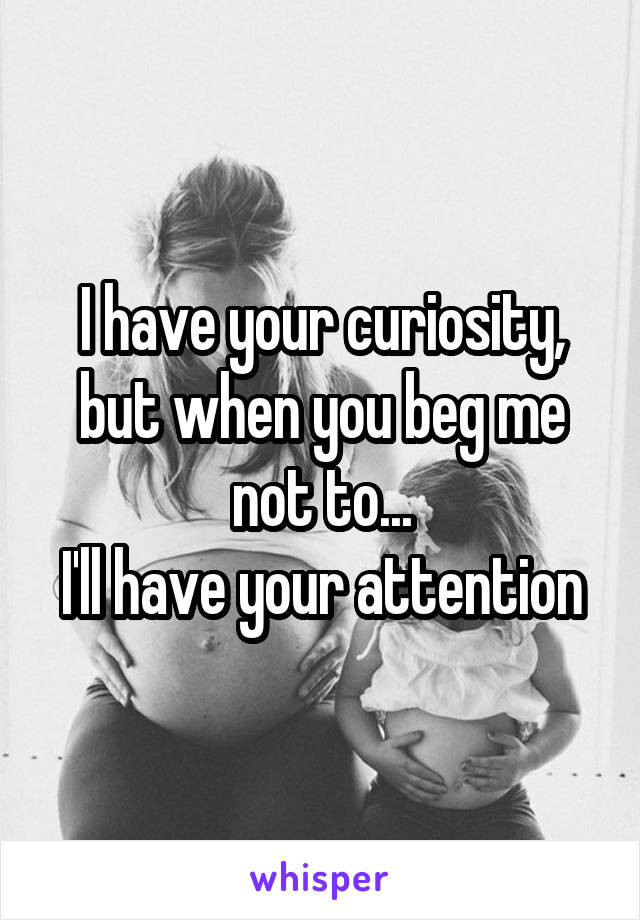 I have your curiosity, but when you beg me not to...
I'll have your attention