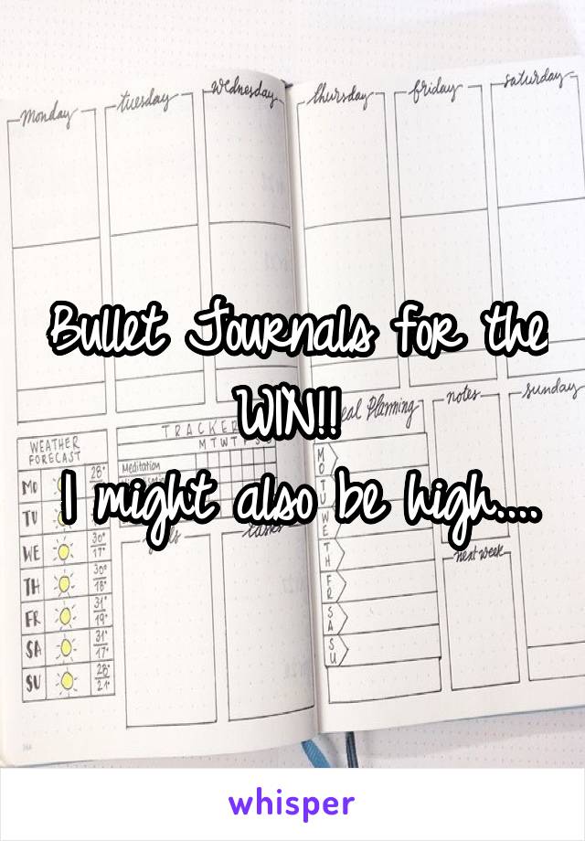 Bullet Journals for the WIN!! 
I might also be high....