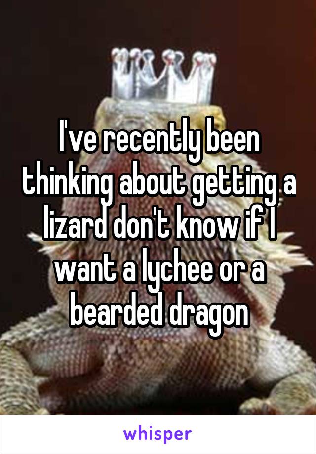 I've recently been thinking about getting a lizard don't know if I want a lychee or a bearded dragon