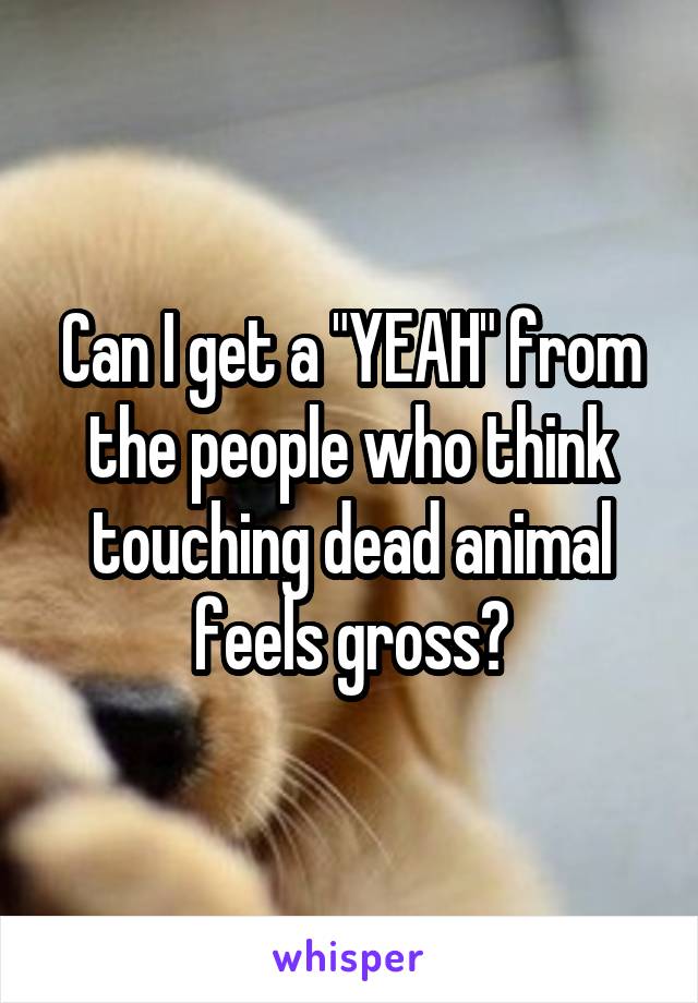 Can I get a "YEAH" from the people who think touching dead animal feels gross?