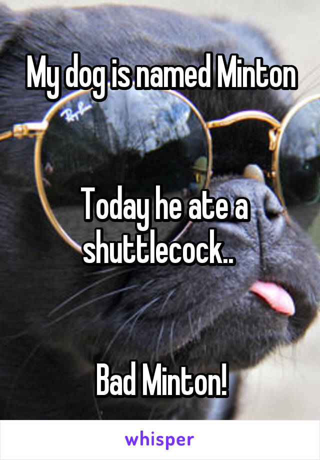 My dog is named Minton


 Today he ate a shuttlecock.. 


Bad Minton!