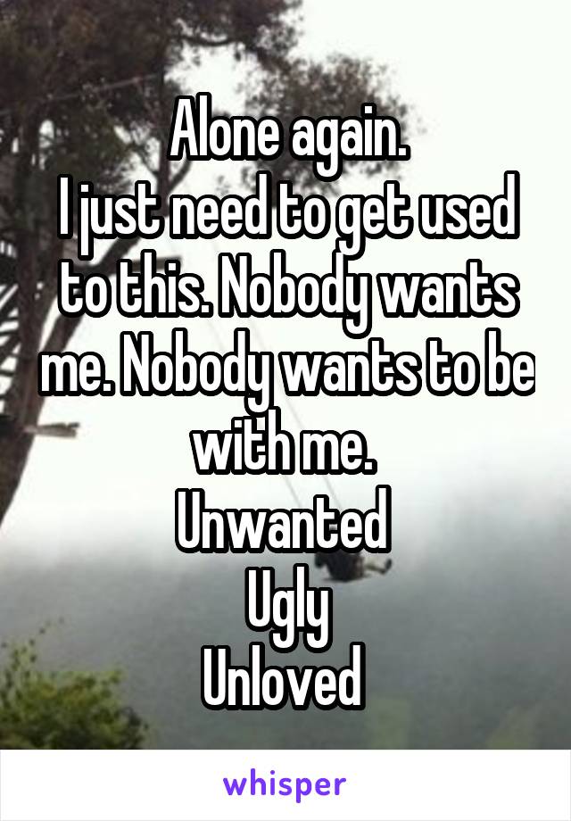 Alone again.
I just need to get used to this. Nobody wants me. Nobody wants to be with me. 
Unwanted 
Ugly
Unloved 