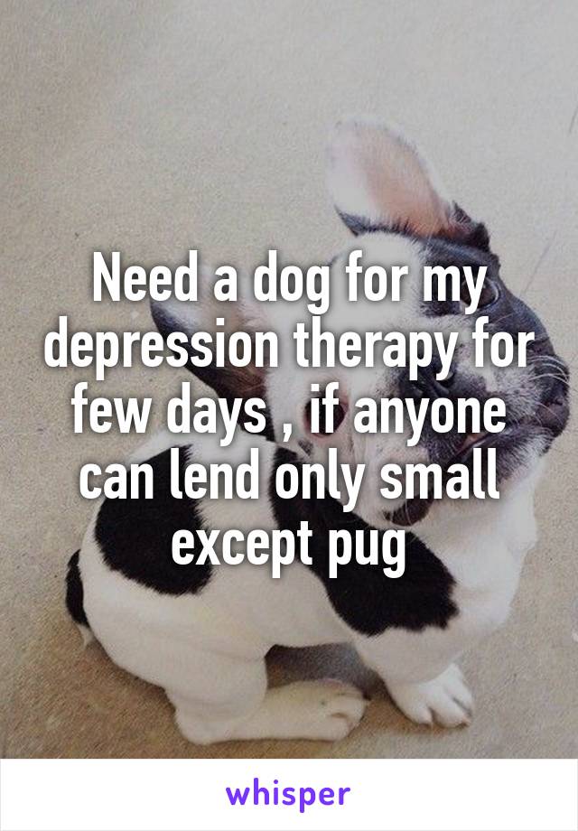 Need a dog for my depression therapy for few days , if anyone can lend only small except pug