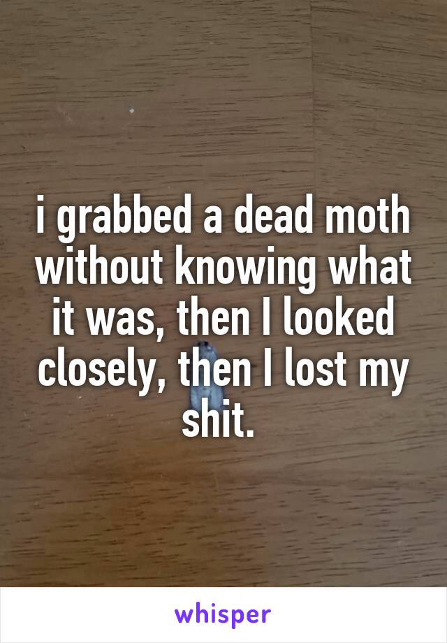 i grabbed a dead moth without knowing what it was, then I looked closely, then I lost my shit. 