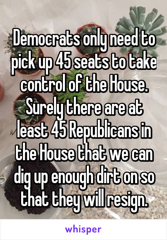 Democrats only need to pick up 45 seats to take control of the House. Surely there are at least 45 Republicans in the House that we can dig up enough dirt on so that they will resign.