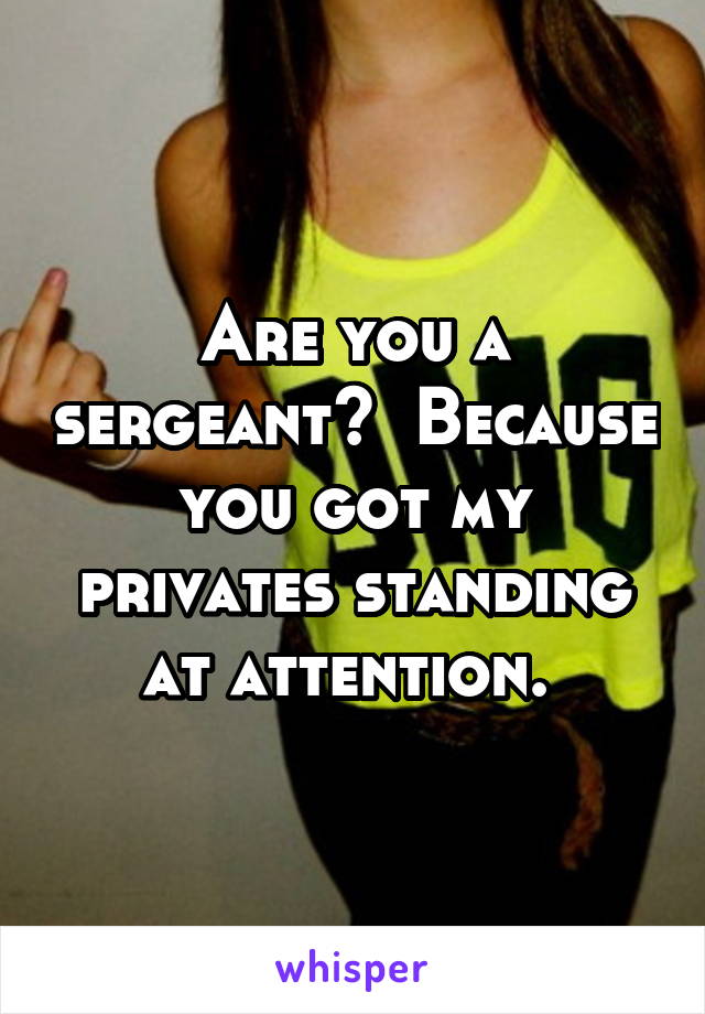 Are you a sergeant?  Because you got my privates standing at attention. 