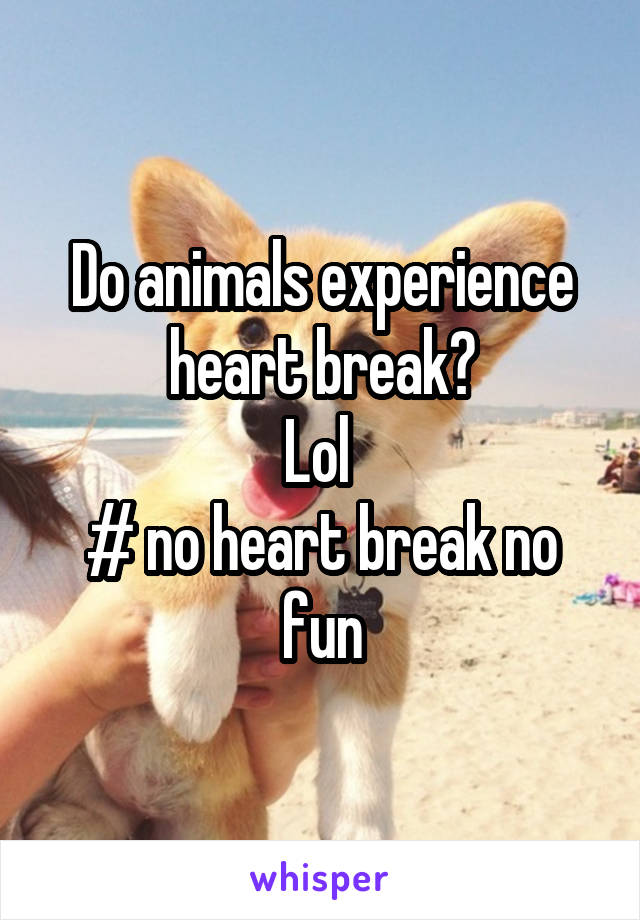 Do animals experience heart break?
Lol 
# no heart break no fun