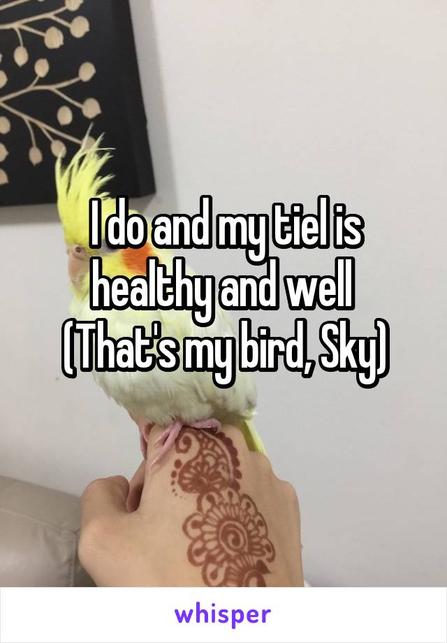 I do and my tiel is healthy and well 
(That's my bird, Sky)
