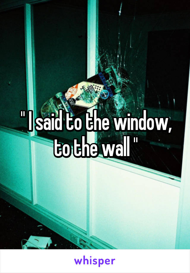 " I said to the window, to the wall "