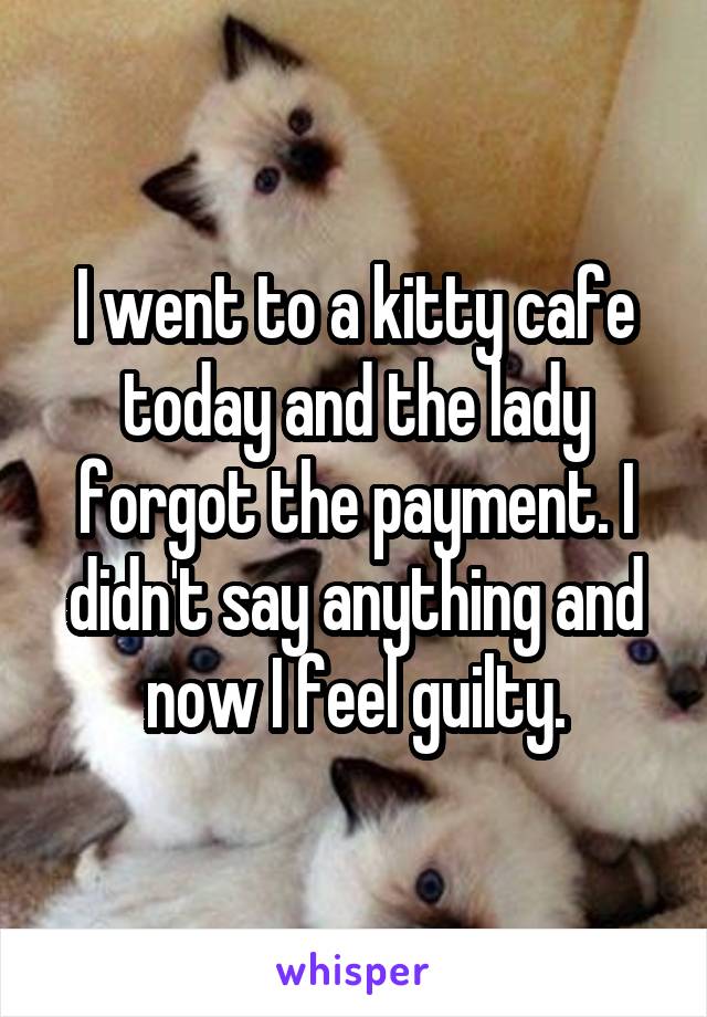 I went to a kitty cafe today and the lady forgot the payment. I didn't say anything and now I feel guilty.