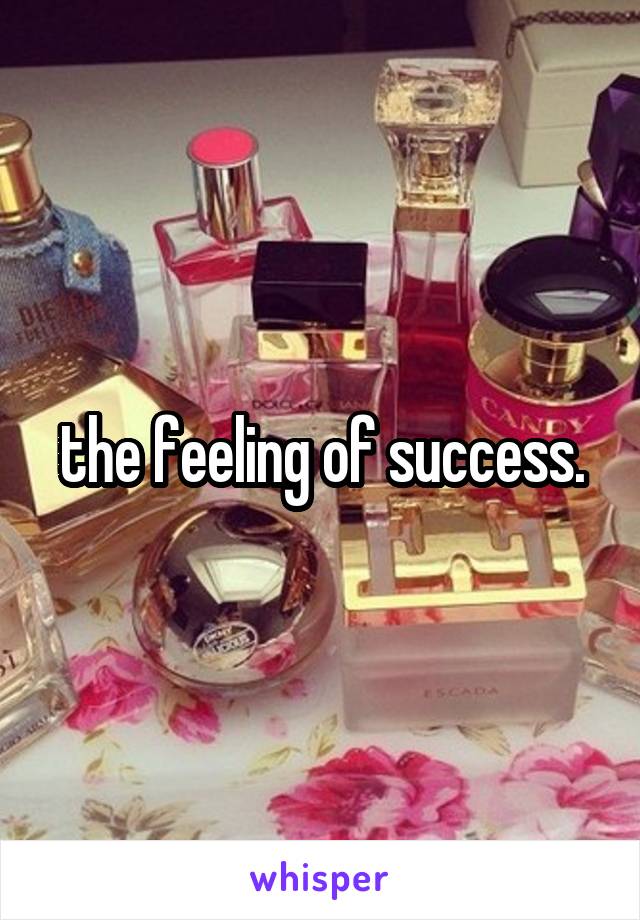 the feeling of success.