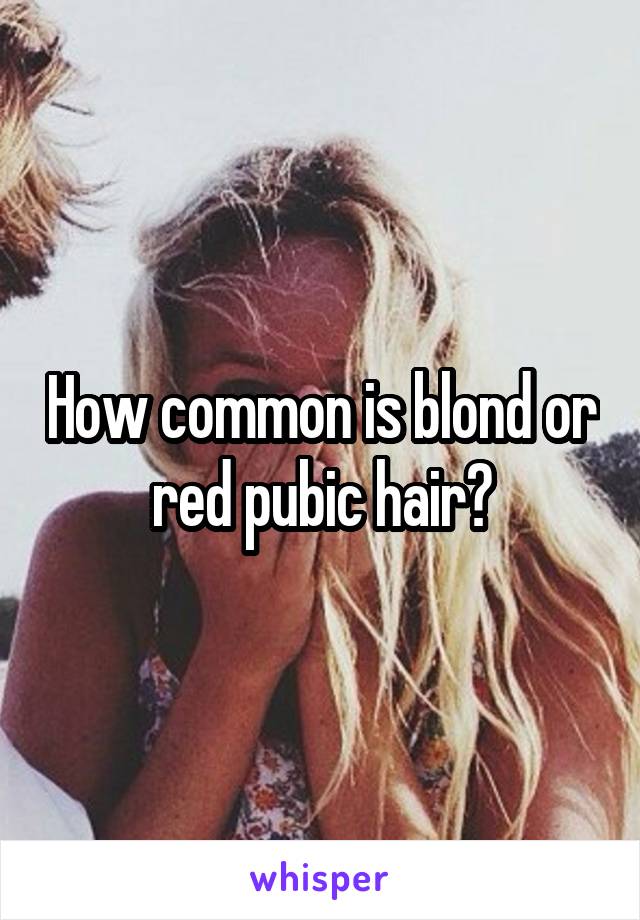 How common is blond or red pubic hair?