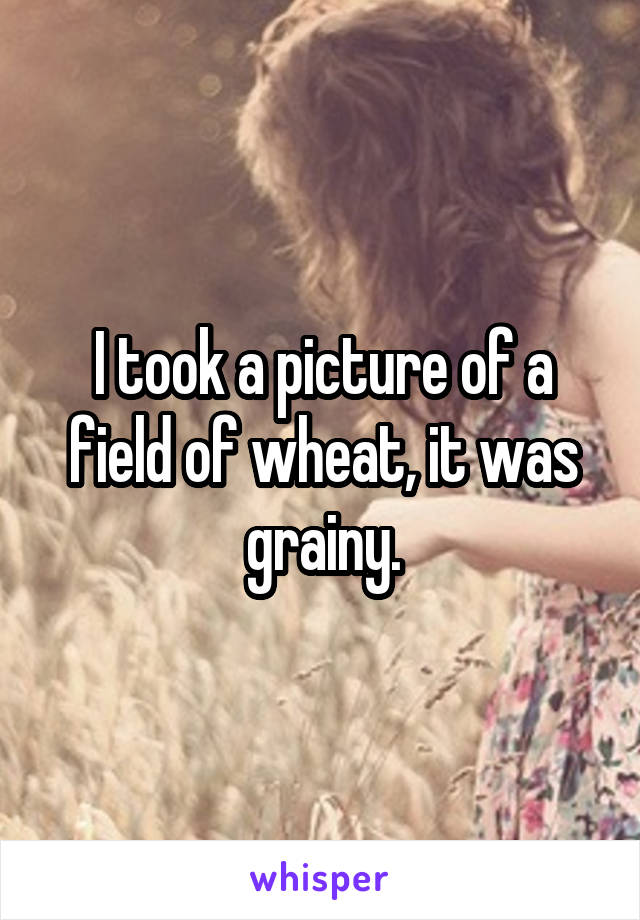 I took a picture of a field of wheat, it was grainy.