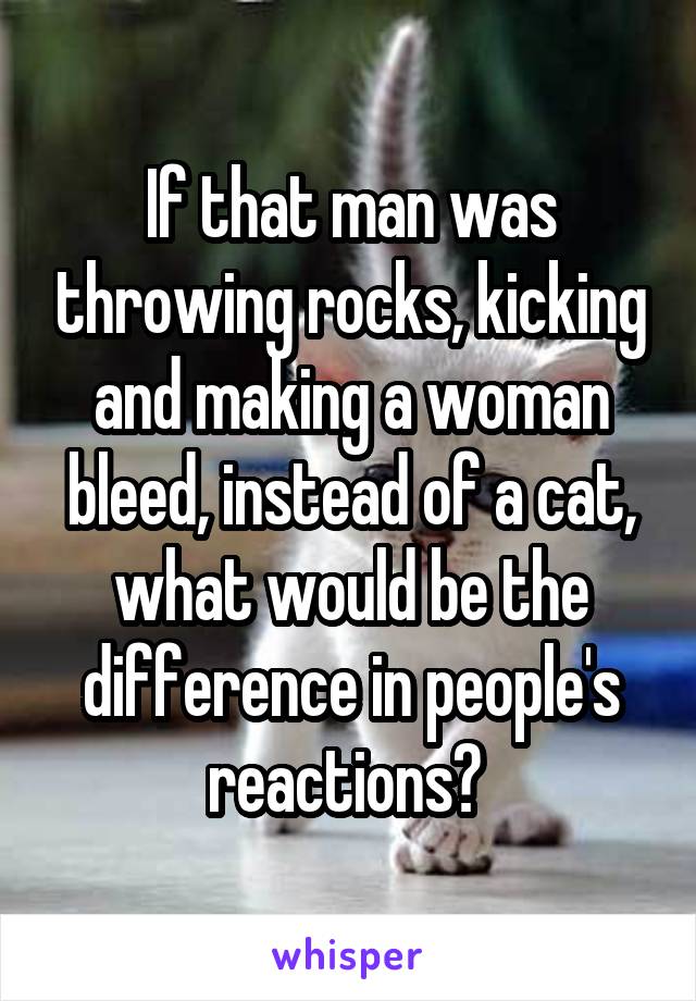 If that man was throwing rocks, kicking and making a woman bleed, instead of a cat, what would be the difference in people's reactions? 