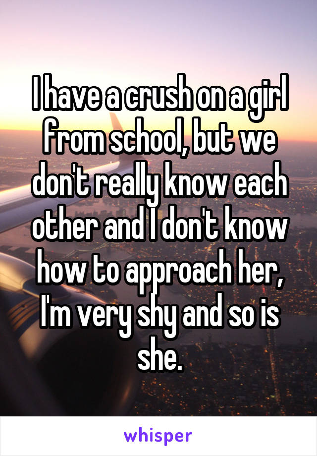 I have a crush on a girl from school, but we don't really know each other and I don't know how to approach her, I'm very shy and so is she.