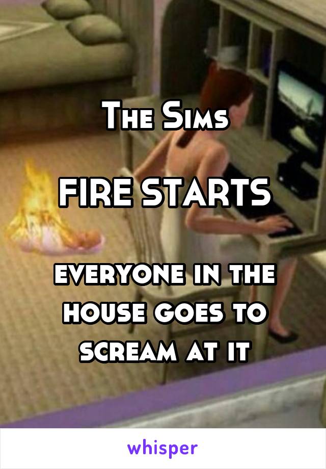 The Sims

FIRE STARTS

everyone in the house goes to scream at it