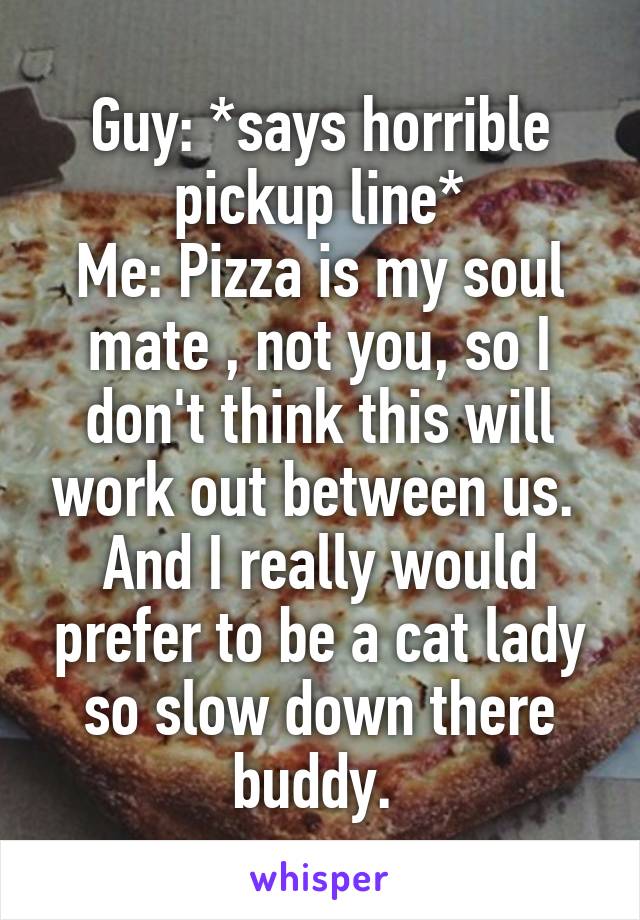 Guy: *says horrible pickup line*
Me: Pizza is my soul mate , not you, so I don't think this will work out between us. 
And I really would prefer to be a cat lady so slow down there buddy. 