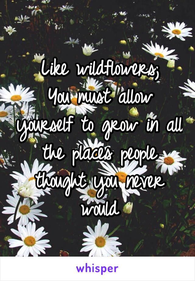 Like wildflowers;
You must allow yourself to grow in all the places people thought you never would