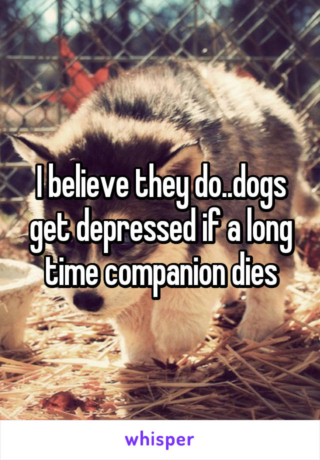 I believe they do..dogs get depressed if a long time companion dies