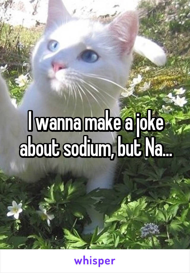 I wanna make a joke about sodium, but Na...