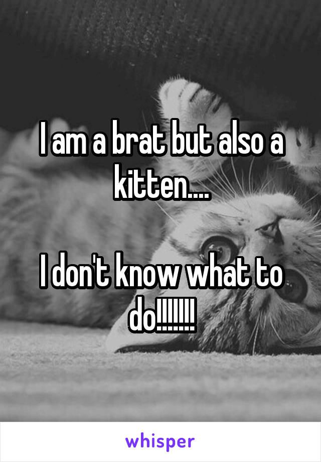 I am a brat but also a kitten....

I don't know what to do!!!!!!!