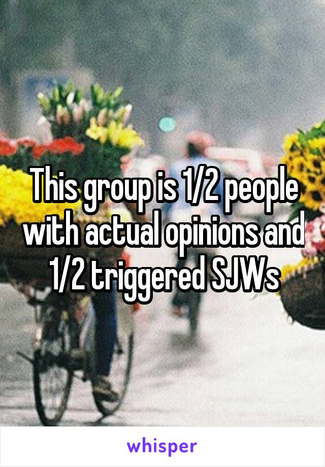 This group is 1/2 people with actual opinions and 1/2 triggered SJWs